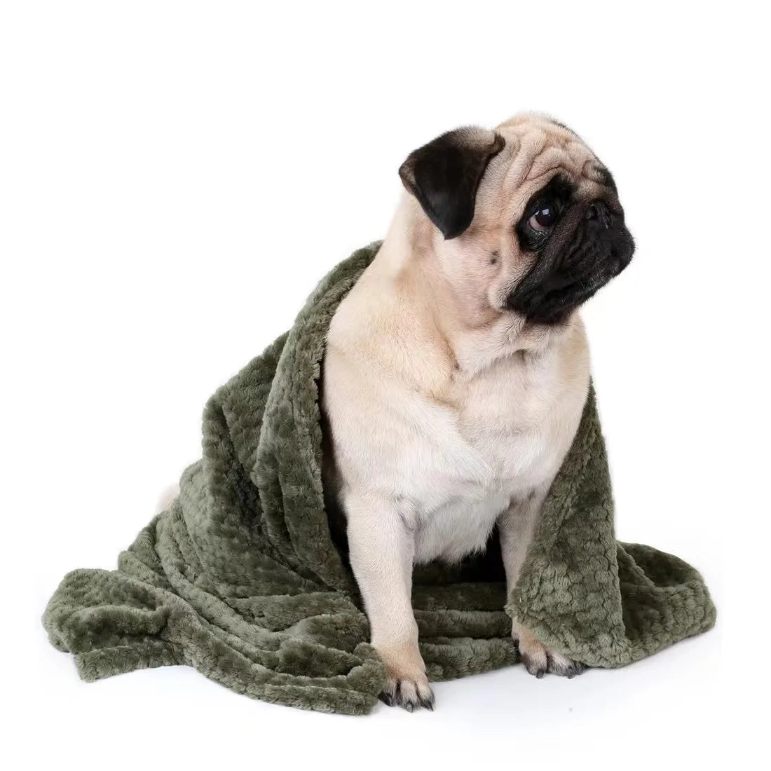 New Soft Pet Blanket Spring Warm Dog Bed Blanket Cute Pet Sheets Warm Mat Comfortable Cat Dog Pad Blanket Pet Accessories