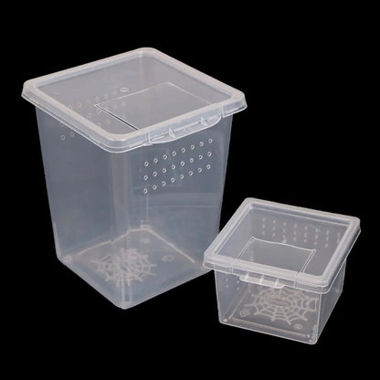 Accessories for Scorpion Spider Ants Transparent Plastic Reptile Habitat Lizard Living Box Hatching Tank Insect Feeding Box
