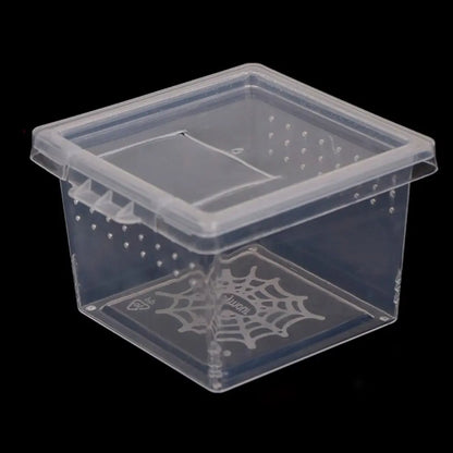 Reptile Accessories Transparent for Scorpion Spider Ants Lizard Living Box Hatching Tank Insect Feeding Box Reptile Habitat