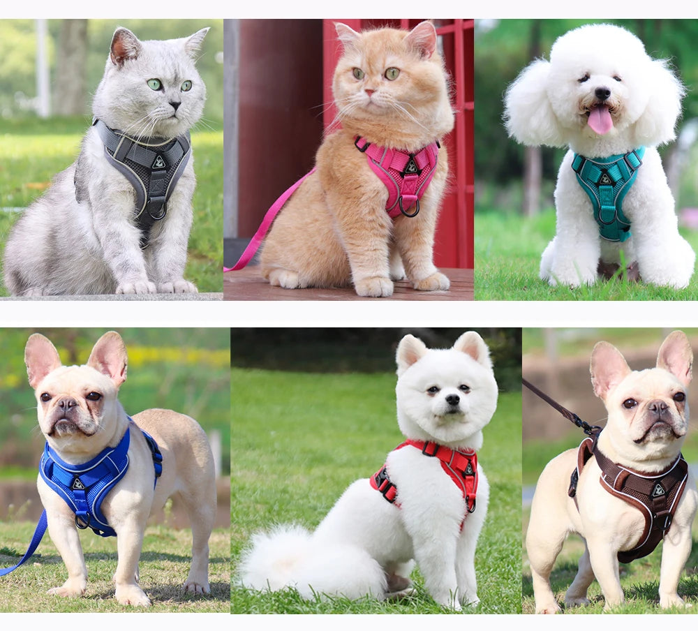 3pc Cat Harness Vest Adjustable Reflective Collars Cute Walking Lead Leash Set Harnesses Necklace For Small Dogs Cat Accessories