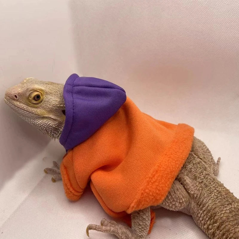 Fashion Bearded Dragon Clothes Costume Accessories Warm Apparel Clothing Hand-made Warm Coat Jackets for Small Animal Geckos