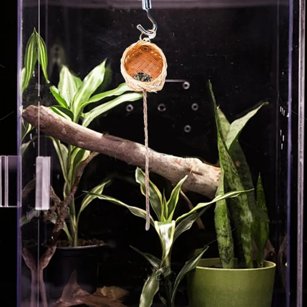 Magnetic Jumping Spider Hideawa y Pet Spider Habitat with Climbing Rope Decorative Small Pet House Shelter Space for Home Garden