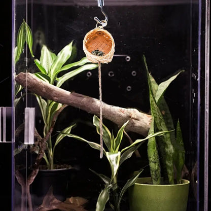 Magnetic Jumping Spider Hideawa y Pet Spider Habitat with Climbing Rope Decorative Small Pet House Shelter Space for Home Garden