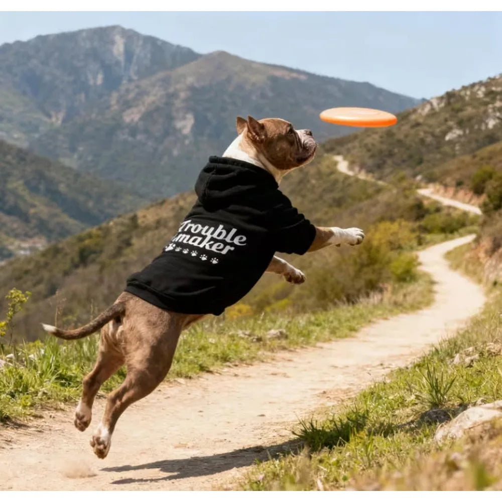 Cat and dog hoodie, letter hoodie, sports style pet clothing, preferred by mothers with sports style