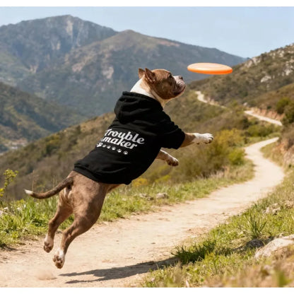 Cat and dog hoodie, letter hoodie, sports style pet clothing, preferred by mothers with sports style