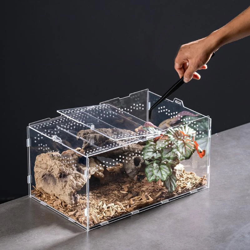 Acrylic Transparent Reptile Breeding Box Terrarium Habitat Insect Spider Lizard Scorpion Feeding Cage Arboreal Enclosure Case