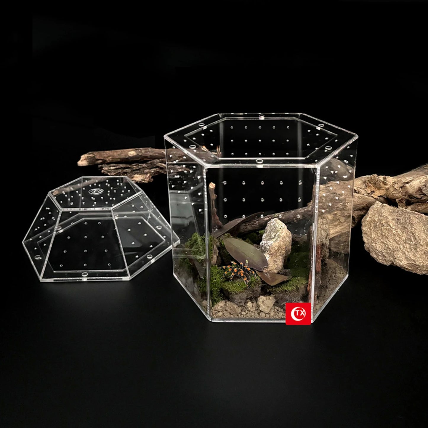 Jumping Spider Enclosure Acrylic Tortoise Enclosure Full Transparency Bug Terrarium for Spiders Tarantulas Snail Lizard Reptiles