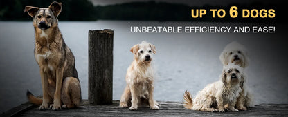 ABBIDOT T70 Dog Training Collar 2 in 1 Strap With E-clicker Electric Shock 4100ft 1250m Waterproof 118 Levels 2025 New Version