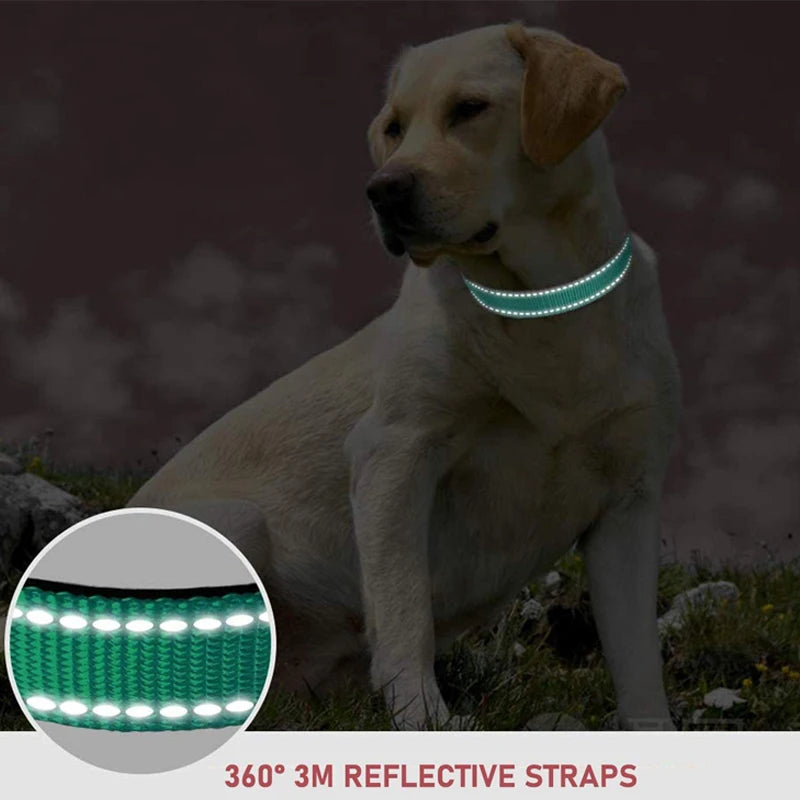 Nylon Pet Collar Pet Leash Chest Strap Dog Leash Collar For Small And Medium-Sized Pets Pet Supplies Dog Leash Collar Adjustable
