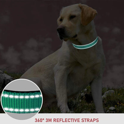 Nylon Pet Collar Pet Leash Chest Strap Dog Leash Collar For Small And Medium-Sized Pets Pet Supplies Dog Leash Collar Adjustable