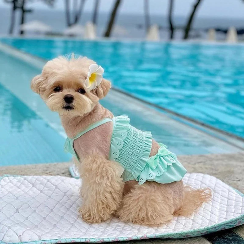 Summer New Pet Swimming Clothes Kitten Puppy Camisole Jumpsuit Beautiful Puppy Bikini Dog vest Clothing Swimsuit With Swim Cap