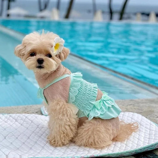 Summer New Pet Swimming Clothes Kitten Puppy Camisole Jumpsuit Beautiful Puppy Bikini Dog vest Clothing Swimsuit With Swim Cap