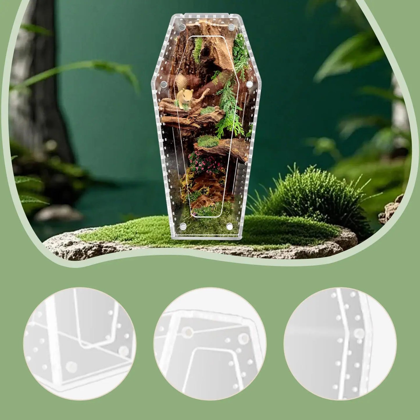 Acrylic Jumping Spider Enclosure Reptile Terrarium Spider Tank