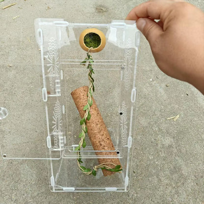 Jumping Spider Terrarium Hideouts With Extended Climbing Strip Magnetic Jumping Spider Habitat Hideaway House Accessories