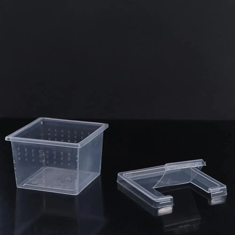 Accessories for Scorpion Spider Ants Transparent Plastic Reptile Habitat Lizard Living Box Hatching Tank Insect Feeding Box