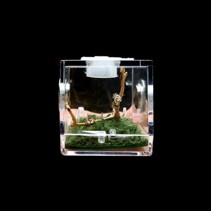 Small Reptile Feeding Box Transparent Acrylic Jumping Spider Breeding Box Habitat Small Insect Container Humidifier Feeding Box