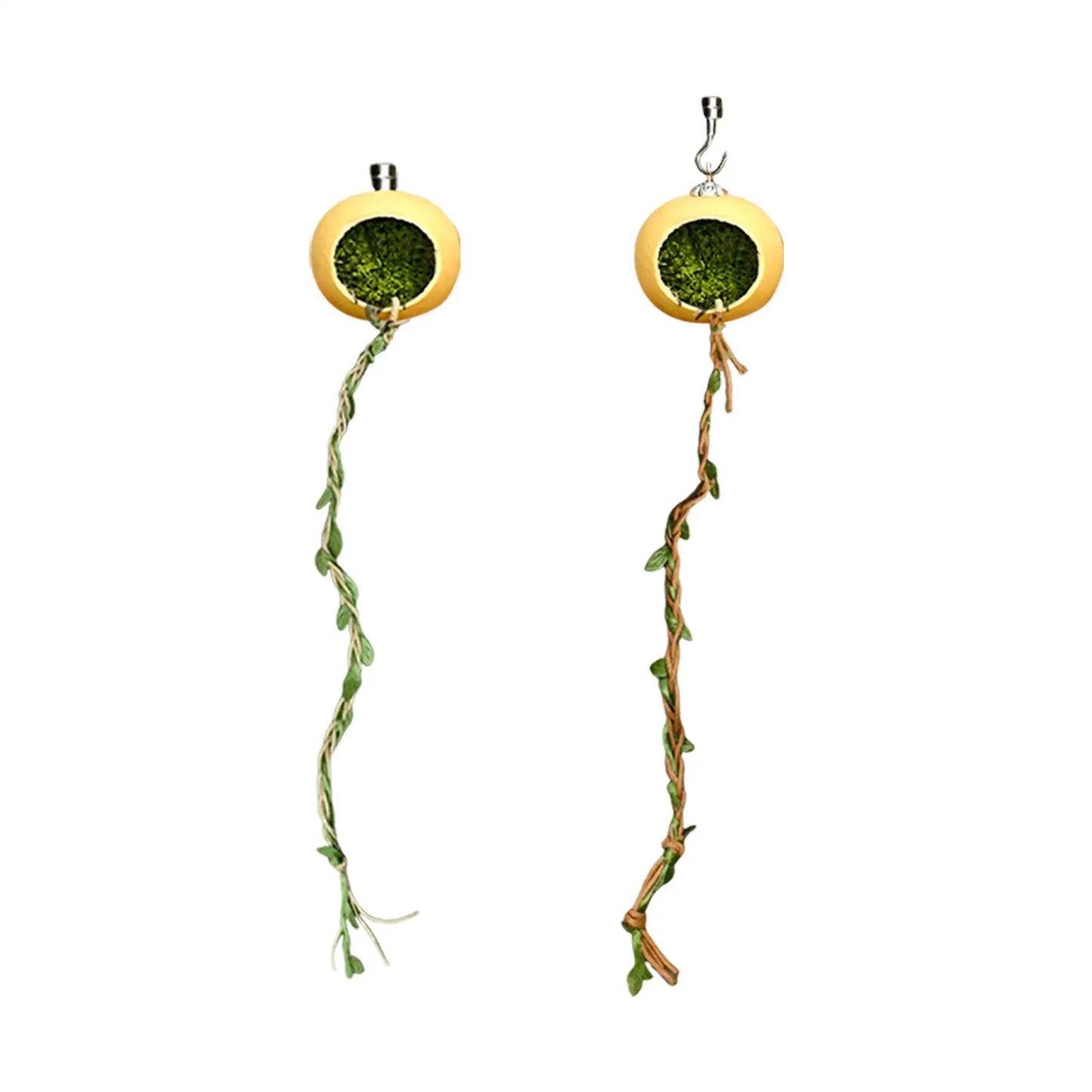 Jumping Spider Terrarium Hideouts With Extended Climbing Strip Magnetic Jumping Spider Habitat Hideaway House Accessories
