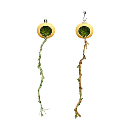 Jumping Spider Terrarium Hideouts With Extended Climbing Strip Magnetic Jumping Spider Habitat Hideaway House Accessories