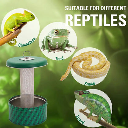 Bearded Dragon Feeder Chameleon Bug Bowl Reptile Feeder Box Wall-Mounted Insect with Suction Cups Tank and Aquarium Accessories