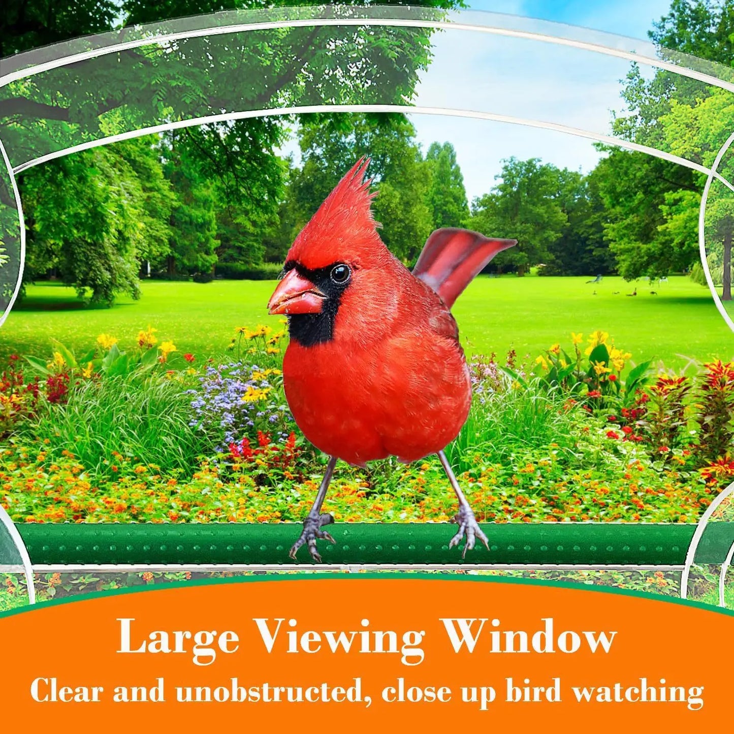 Parrot Breeding Cage Transparent Acrylic Large Special Cockatiel Budgerigar Lovebird Canary Pet Bird Cage