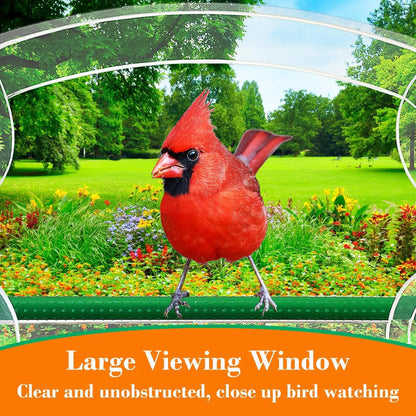 Parrot Breeding Cage Transparent Acrylic Large Special Cockatiel Budgerigar Lovebird Canary Pet Bird Cage