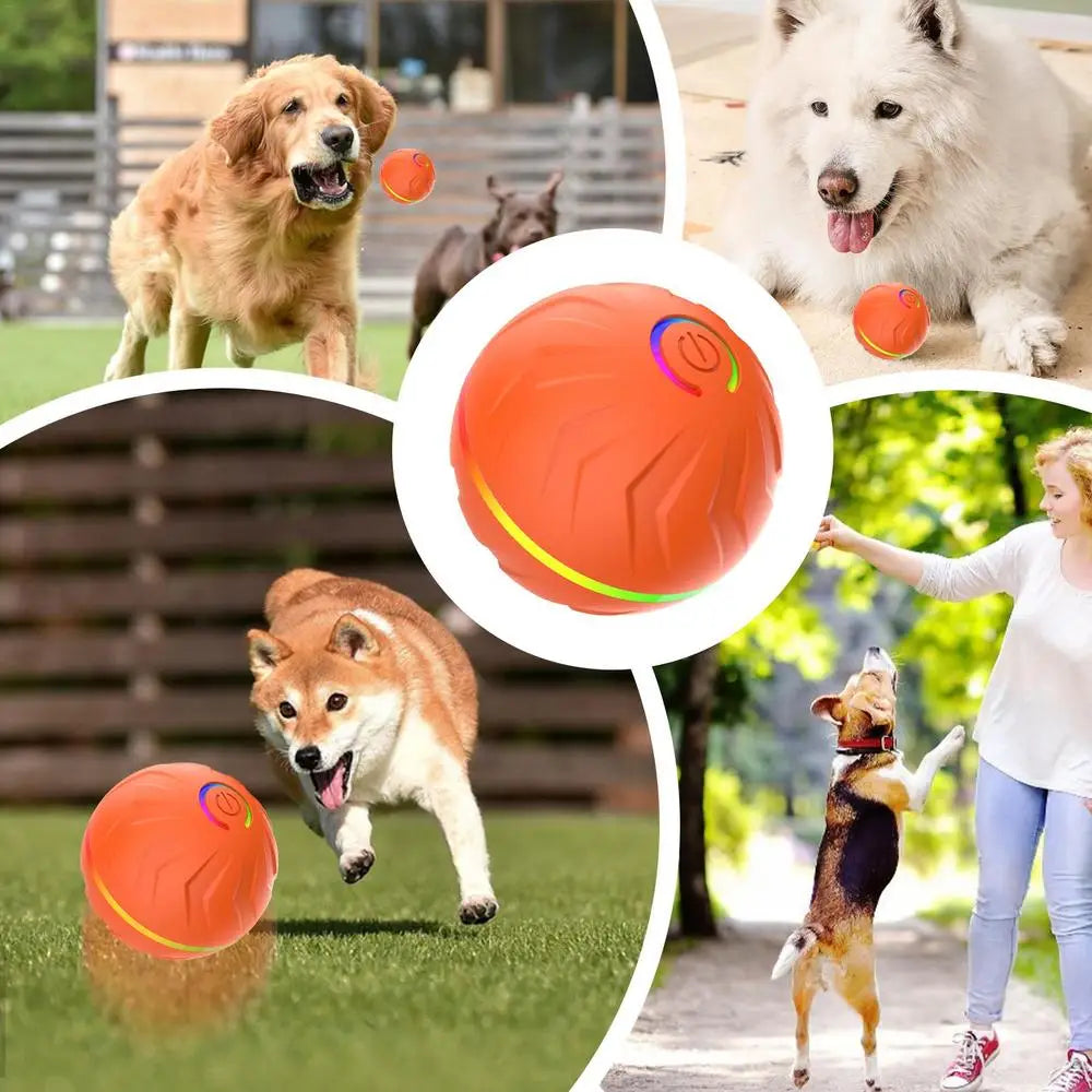 Rolling Ball Dog Toy Automatic Interactive Toy Pet Toy Ball USB Rechargeable Dog Chew Ball Pet Supplies For Backyard Park Garden