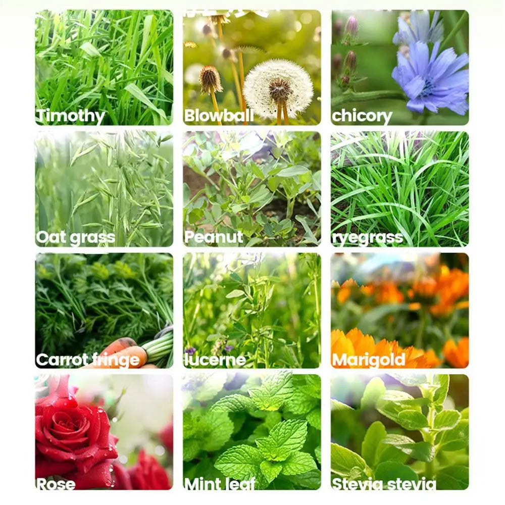 Rabbits Hay Bale Safe Natural Grass Hay Bedding For Hamster Healthy Pet Food Improves Digestion For Small Animal Gerbils