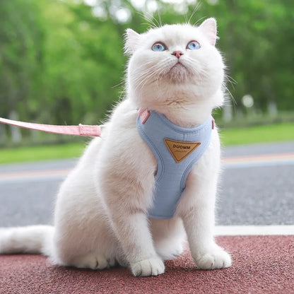 Pet Products for Cats Detachable Collar Pets Kittens Harness Accessories Goods Cute Kitten Animal Animals Stuff Dogs Tag Collars