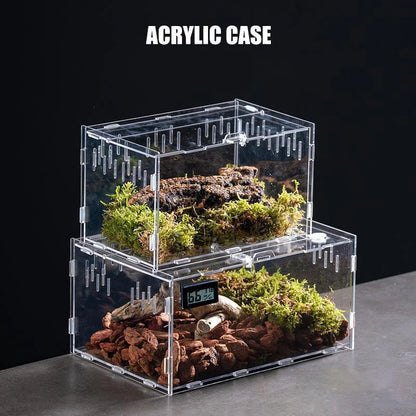 Terrarium Habitat Insect Spider Lizard Scorpion Feeding Cage Arboreal Enclosure Case Acrylic Transparent Reptile Breeding Box