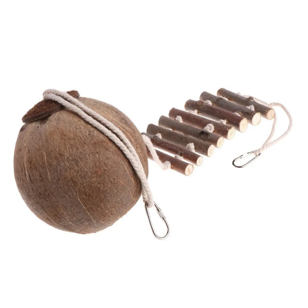 Comfortable Cute Design Natural Coconut Shell Bird Nesting House Small Size Pet Parakeets Finches Sparrows Cage With Ladder