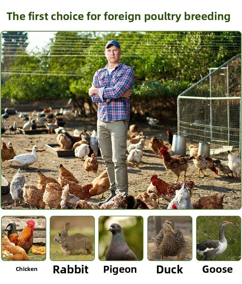 Outdoor Large-scale Chicken Duck Breeding Shed Nests Weatherproof Farm Poultry Cages Simple Breathable Pet Supplies Accessories