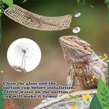 B84B-2 Pack Lizard Reptile Bearded Dragon Hammock Climbing Toy Seagrass Fiber Habitat Accessories For Amphibians