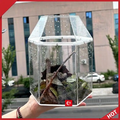 Jumping Spider Enclosure Acrylic Tortoise Enclosure Full Transparency Bug Terrarium for Spiders Tarantulas Snail Lizard Reptiles