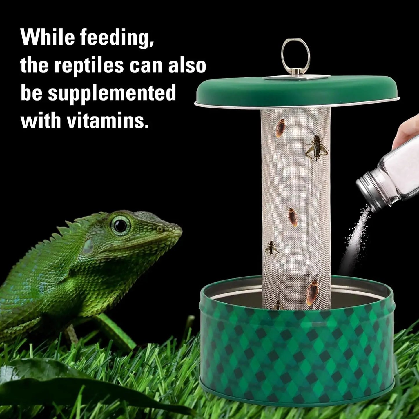 Bearded Dragon Feeder Chameleon Bug Bowl Reptile Feeder Box Wall-Mounted Insect with Suction Cups Tank and Aquarium Accessories