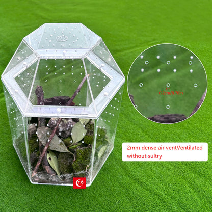 Jumping Spider Enclosure Acrylic Tortoise Enclosure Full Transparency Bug Terrarium for Spiders Tarantulas Snail Lizard Reptiles