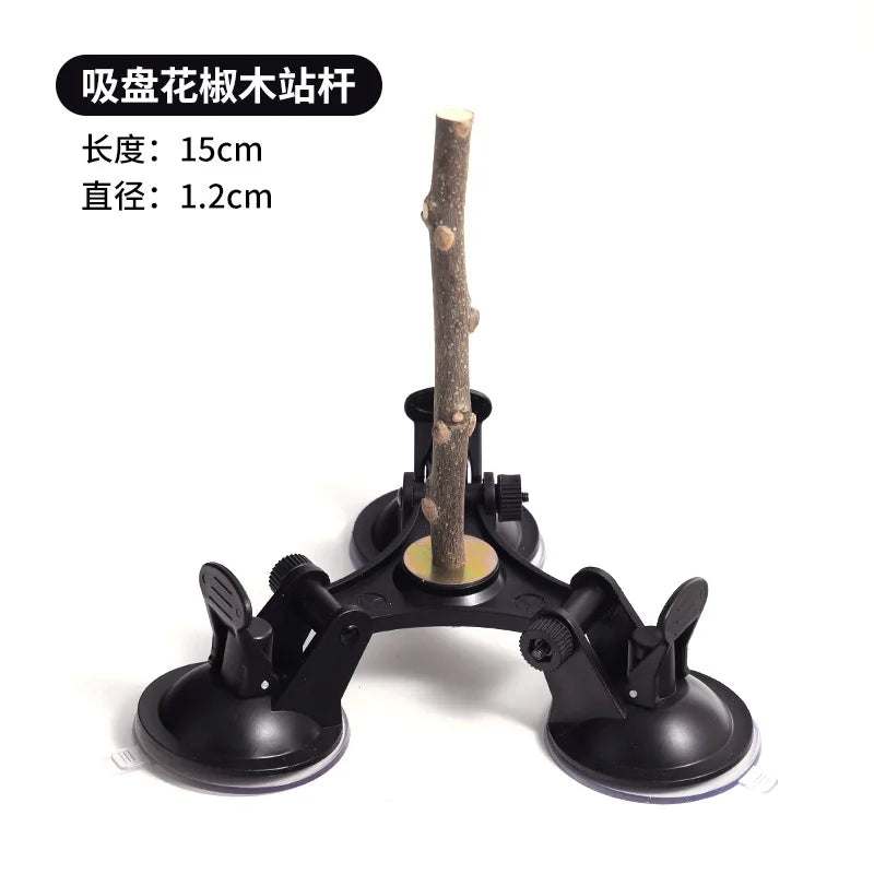 Multi-Functional Perch Stand for Birds with Bird Shower Perch Function Ideal Window Perch for Birds with Secure Suction Cup
