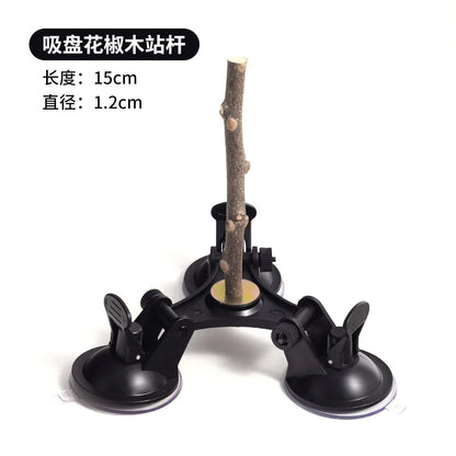 Multi-Functional Perch Stand for Birds with Bird Shower Perch Function Ideal Window Perch for Birds with Secure Suction Cup
