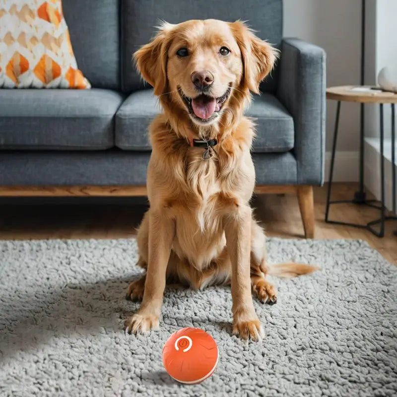 Rolling Ball Dog Toy Automatic Interactive Toy Pet Toy Ball USB Rechargeable Dog Chew Ball Pet Supplies For Backyard Park Garden