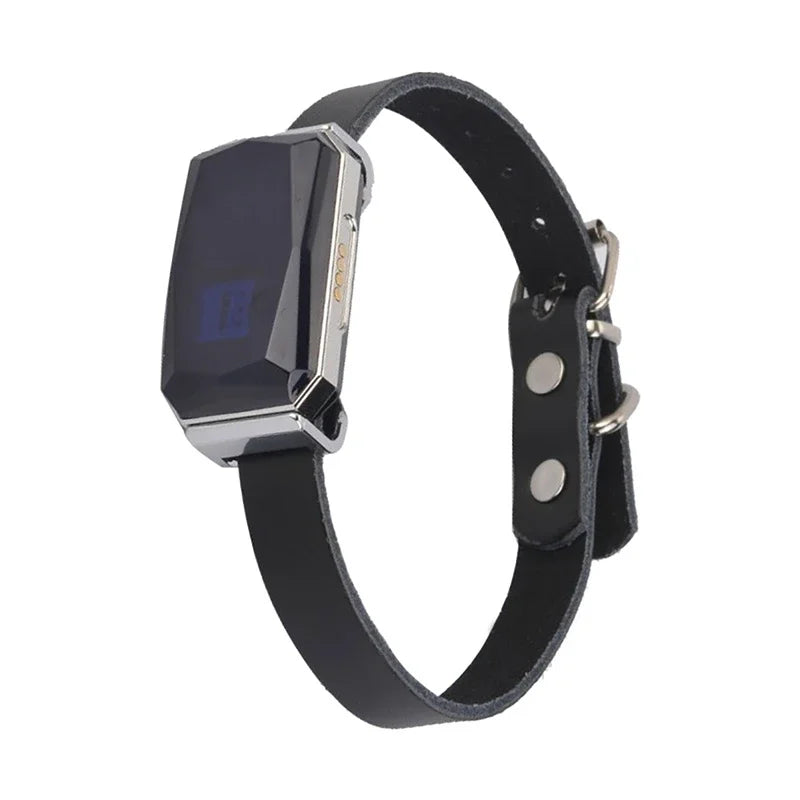 Waterproof Pet GPS Tracker System Locator CatS Dogs Puppy Adjustable Collar Real-Time Call Remote Control GPS Locator
