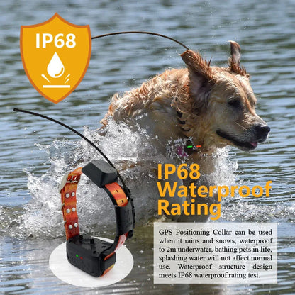 Eseek Enterprise GPS Dog Collar Fence System: 7-Zone Concurrent Management + Violation Analytics - Distributor Training Included