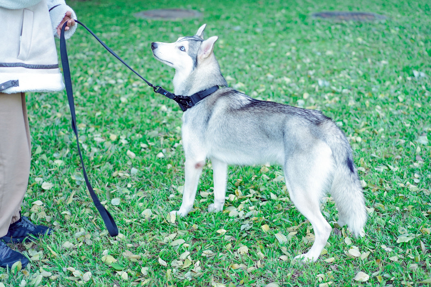 5Ft Nylon Large Dog Leash Tactical Frog Clip Metal Padded Control Handle Durable Military German Shepard Rope Training Supplie