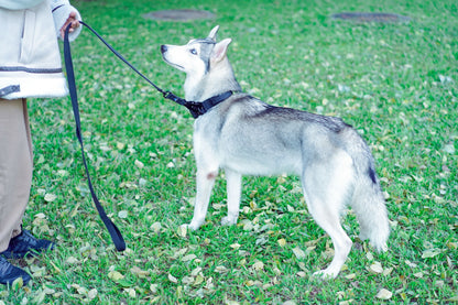 5Ft Nylon Large Dog Leash Tactical Frog Clip Metal Padded Control Handle Durable Military German Shepard Rope Training Supplie