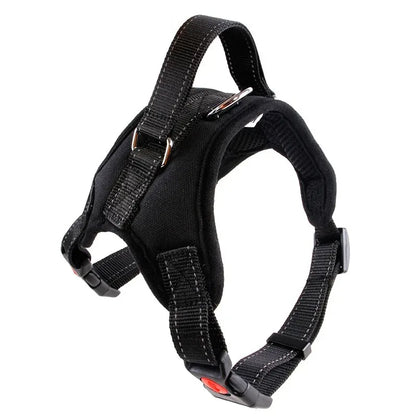 Dog Collars Choker Collar Harness Leash Gps Training Harnesses and Wears Necklaces Lanyard Big Retractable Dogs Accessory Things