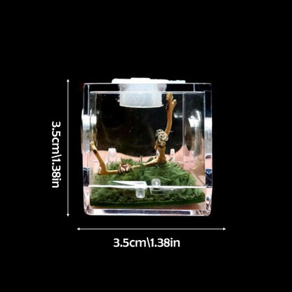 Small Reptile Feeding Box Transparent Acrylic Jumping Spider Breeding Box Habitat Small Insect Container Humidifier Feeding Box