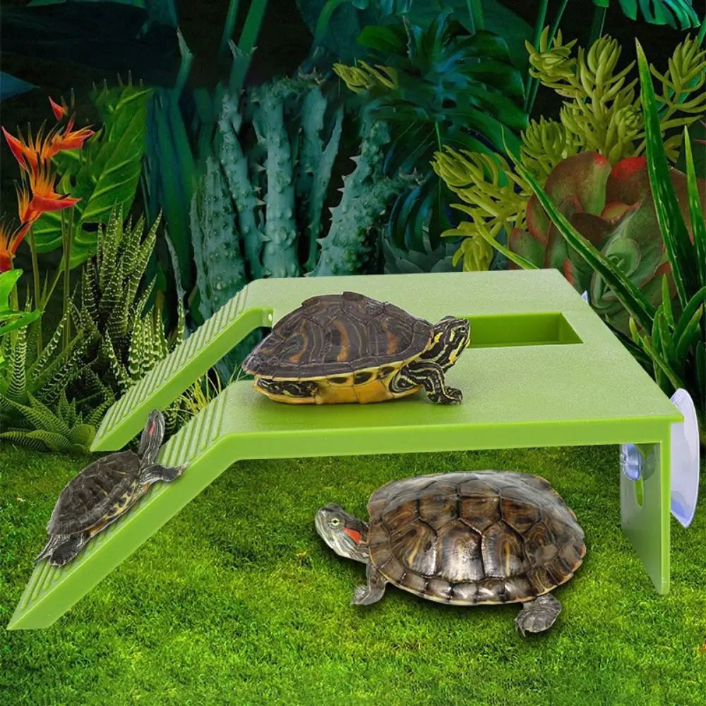 Tortoise Climbing Basking Platform Turtle Tank Floating Basking Platform For Aquatic Turtles Terrace
