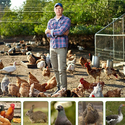 Outdoor Large Chicken Cages Poultry Thickened Galvanized Pipes Duck Sheds Farms Poultry Cages Rain Sun Protection Cover Backyard