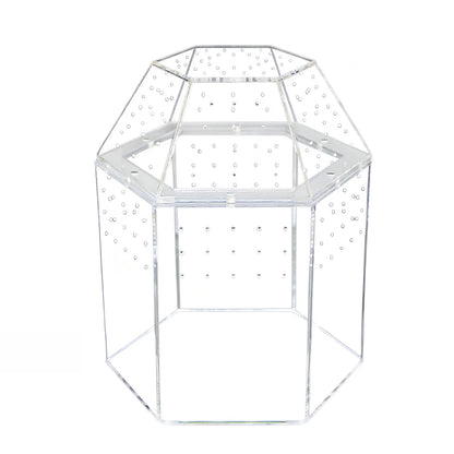 Jumping Spider Enclosure Acrylic Terrarium Habitat All-Side Ventilation Spider Tank for Spiders Tarantulas Snail Lizard Reptiles