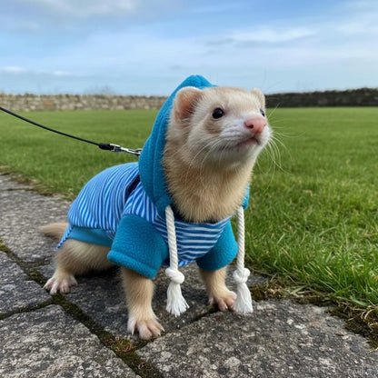 Skin Friendly Elastic Ferret Hoodie Cozy Soft Ferret Pullover Thick Fleece Stylish Drawstring Hamster Coat Daily Party