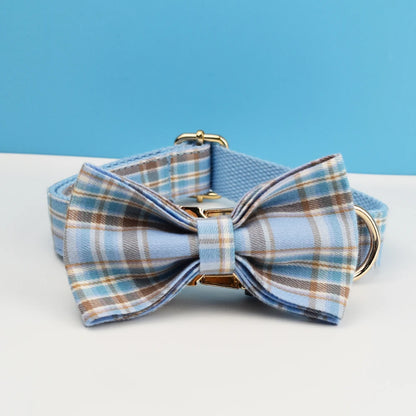 Luxury Dog Leash and Collar ，retractable walking collar for small and big pet .