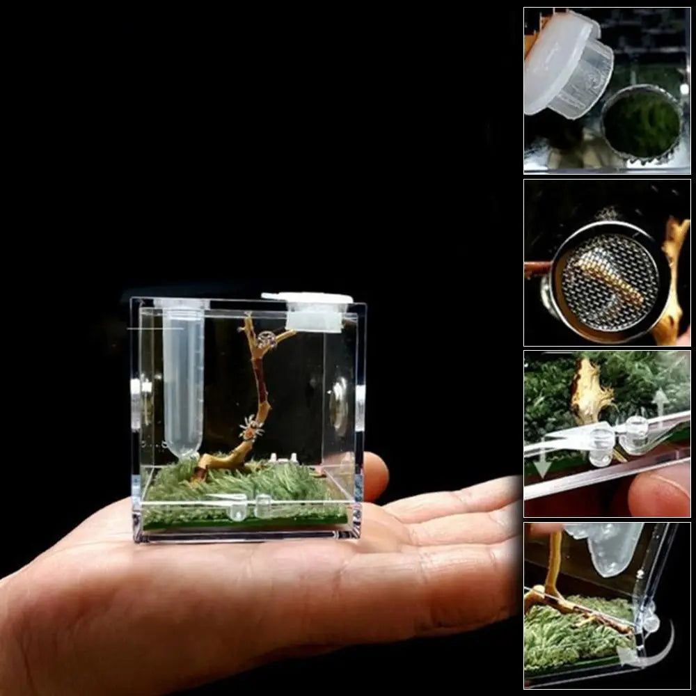 Jumping Spider Habitat Acrylic Breeding Box Cage for Spiders Small Insects
